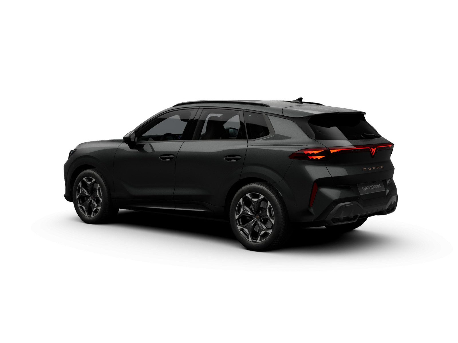 Cupra Terramar – Bild 5