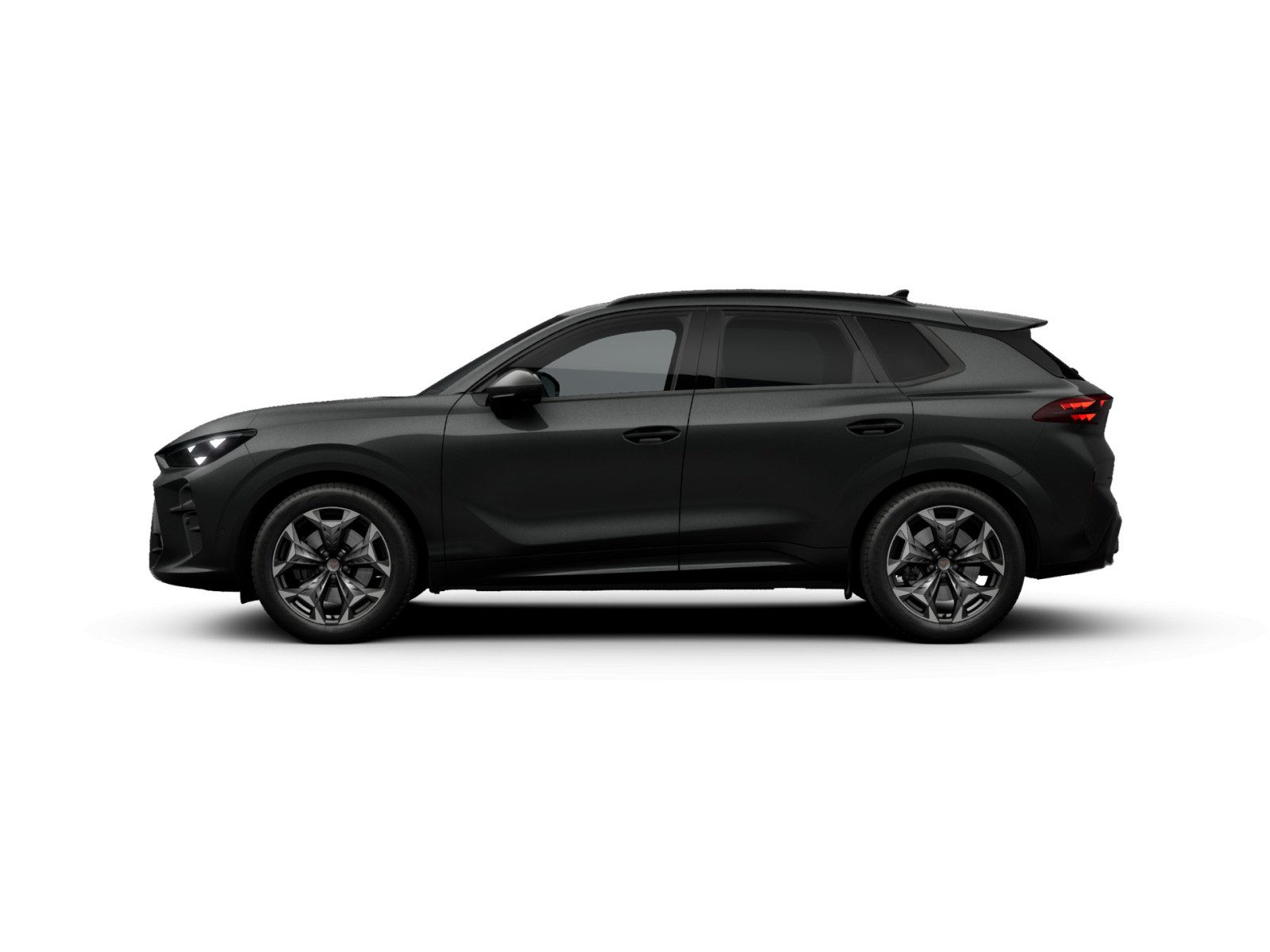 Cupra Terramar – Bild 6