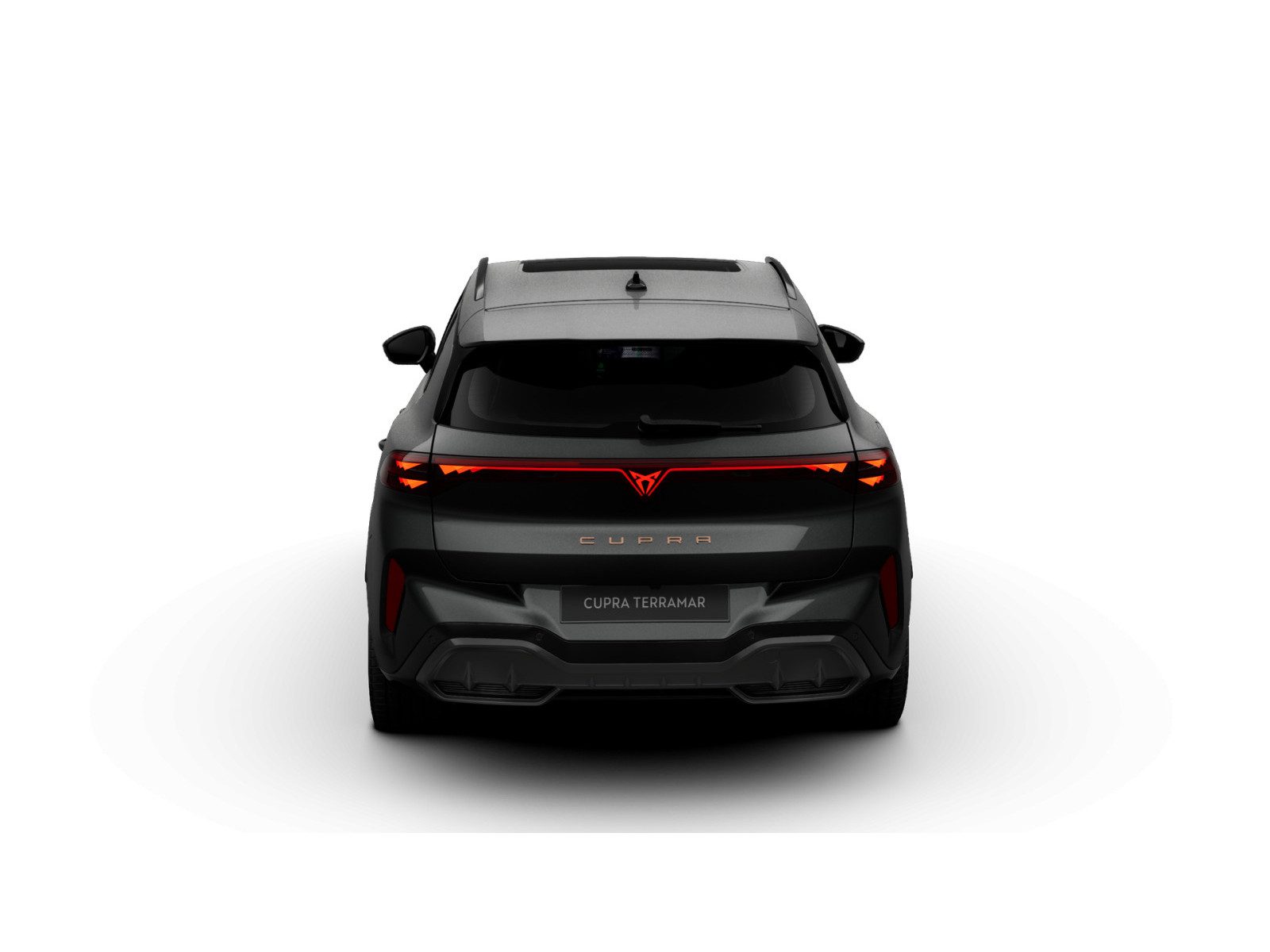 Cupra Terramar – Bild 7