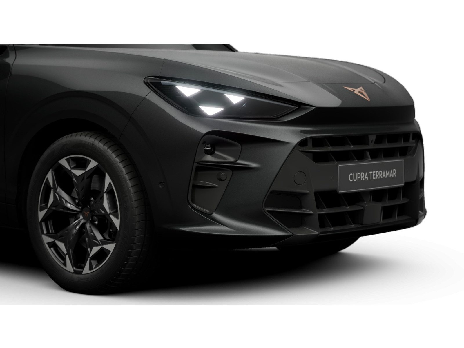 Cupra Terramar – Bild 8