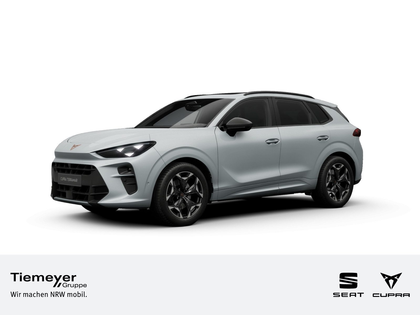 Cupra Terramar – Foto 1
