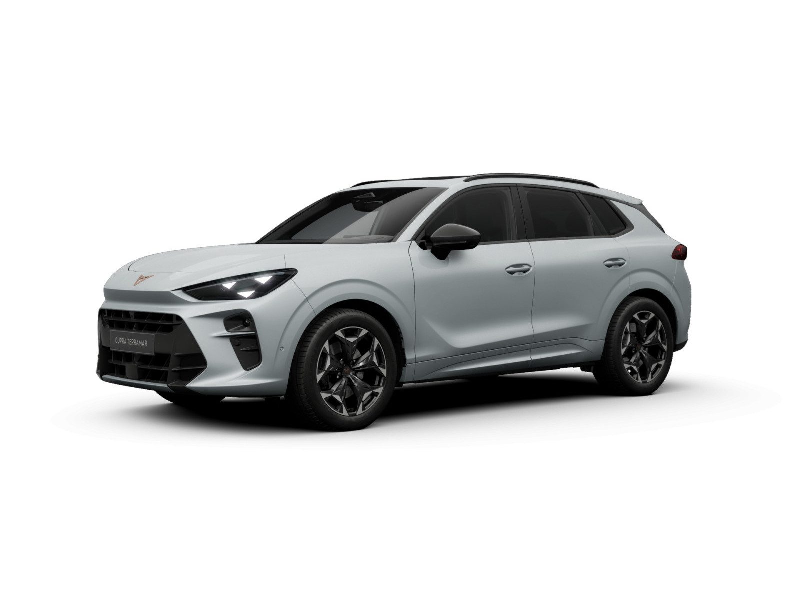 Cupra Terramar – Foto 2