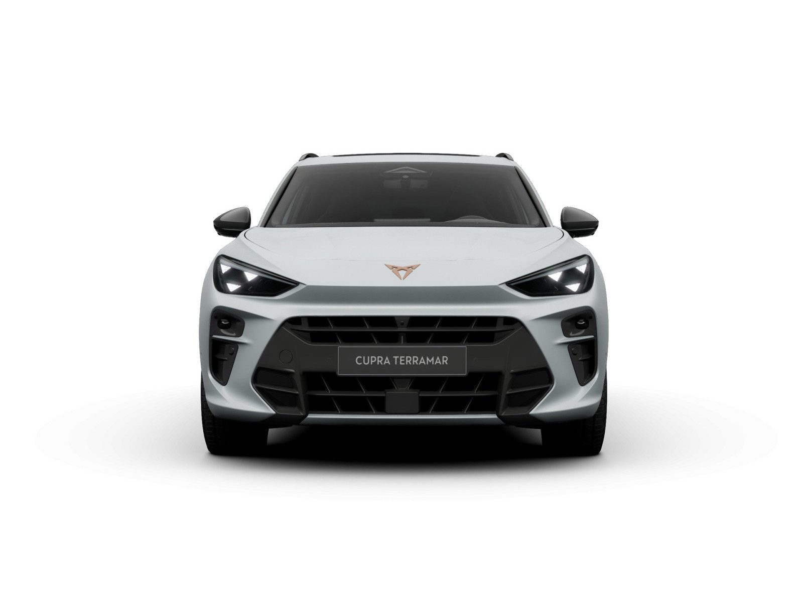 Cupra Terramar – Foto 3