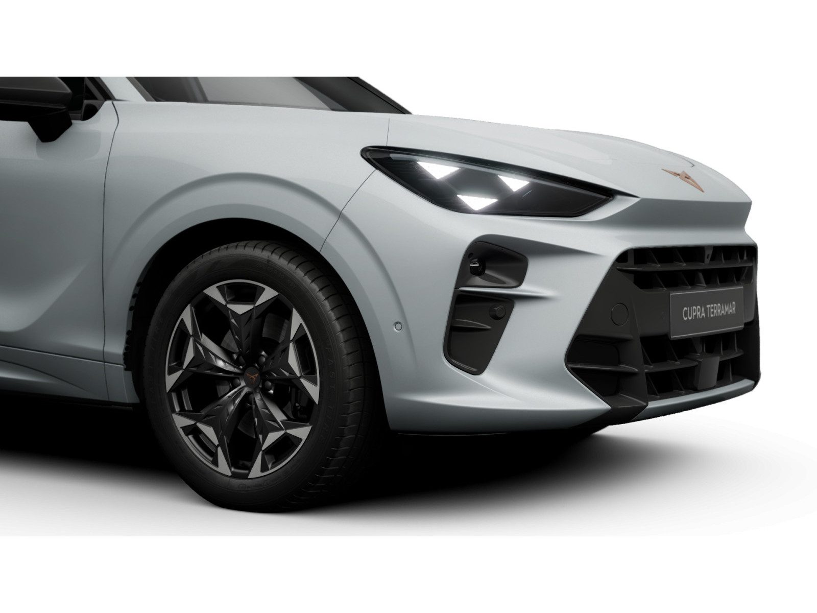 Cupra Terramar – Foto 4