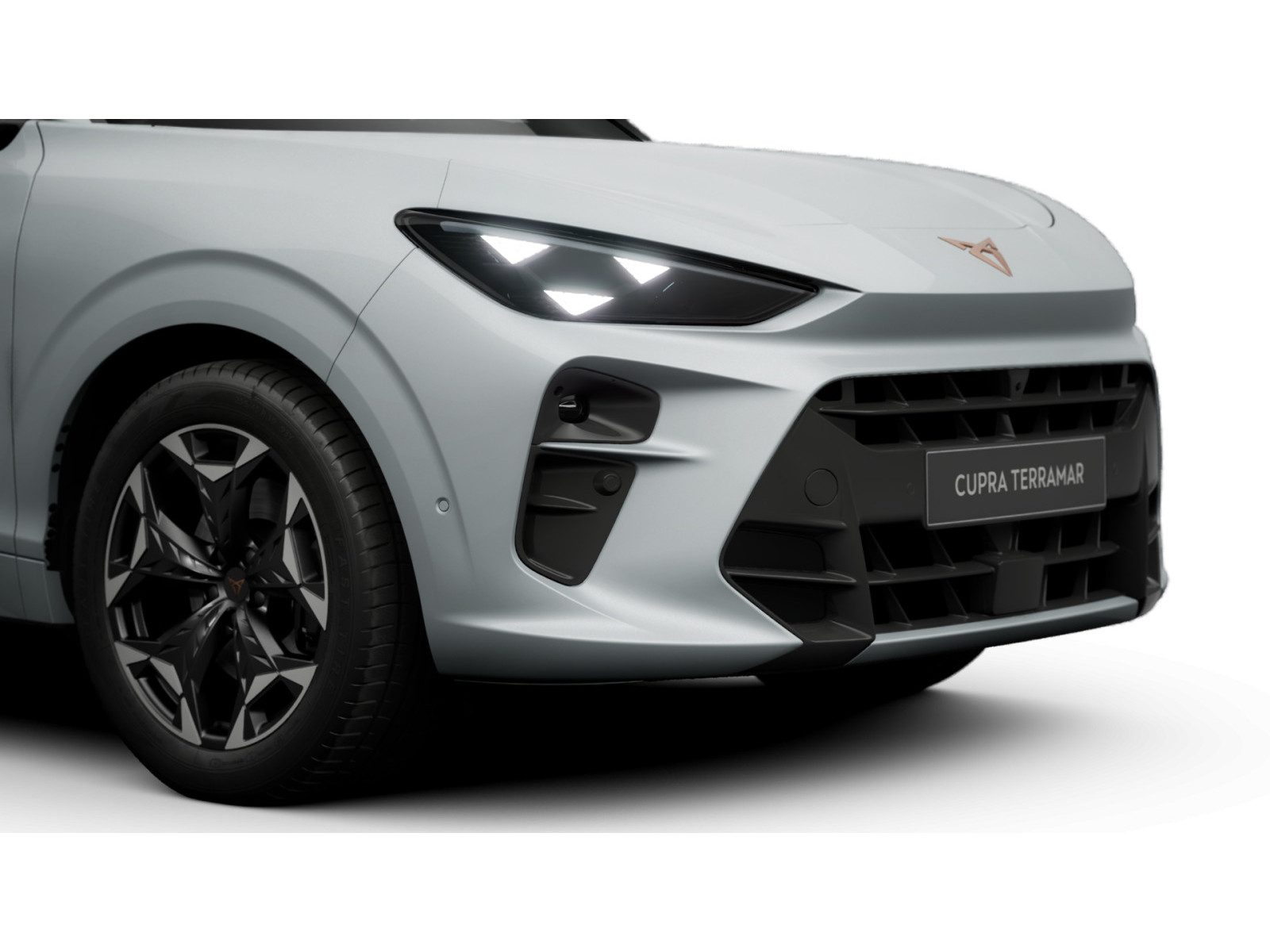 Cupra Terramar – Foto 8