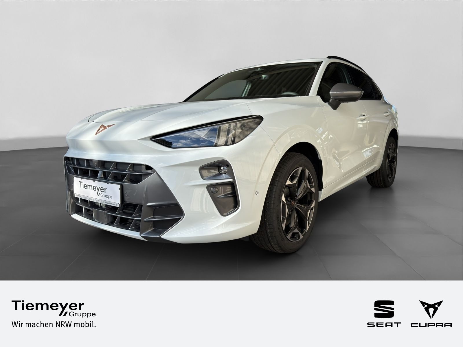 Cupra Terramar – Foto 1