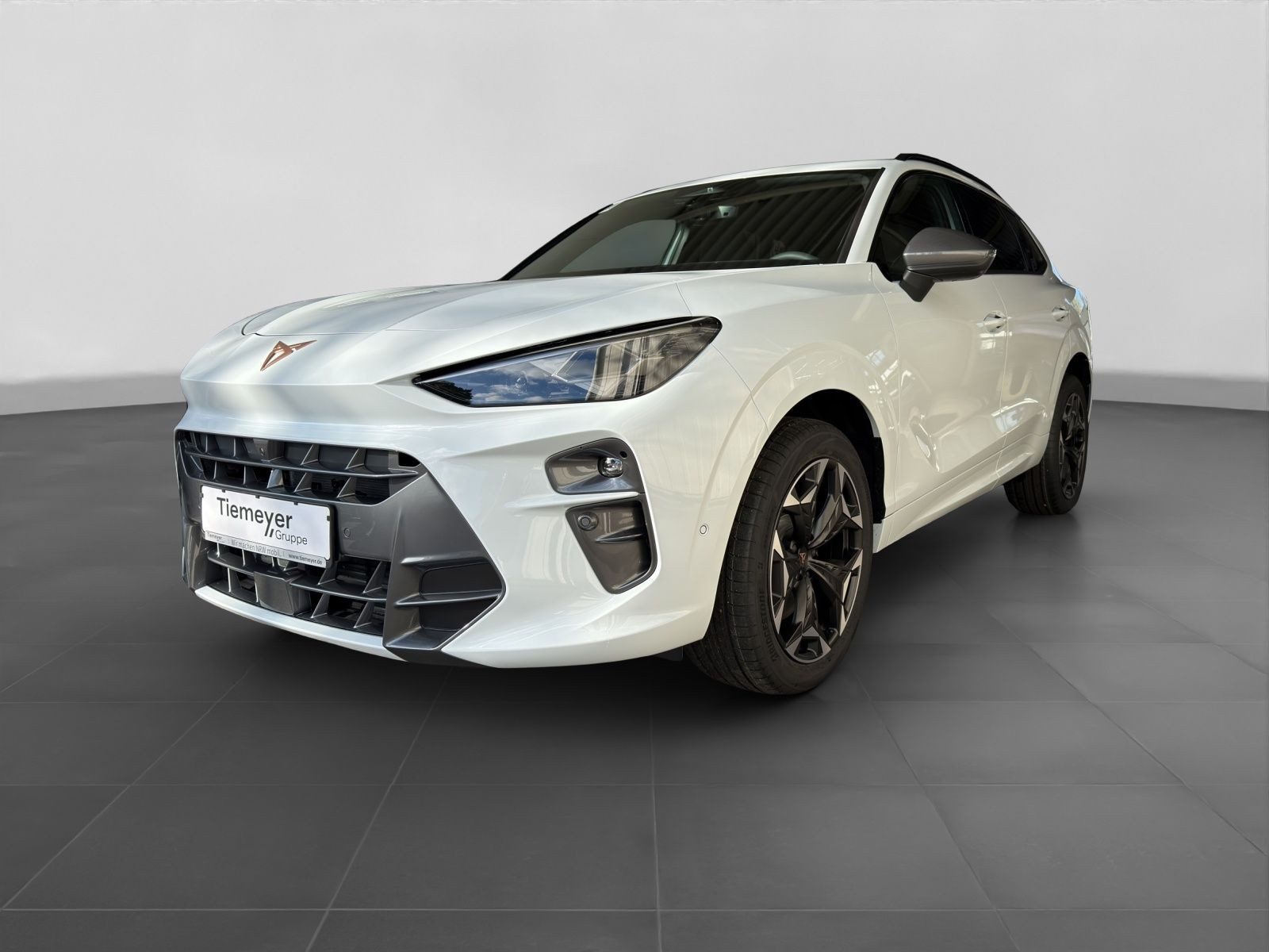 Cupra Terramar – Foto 2