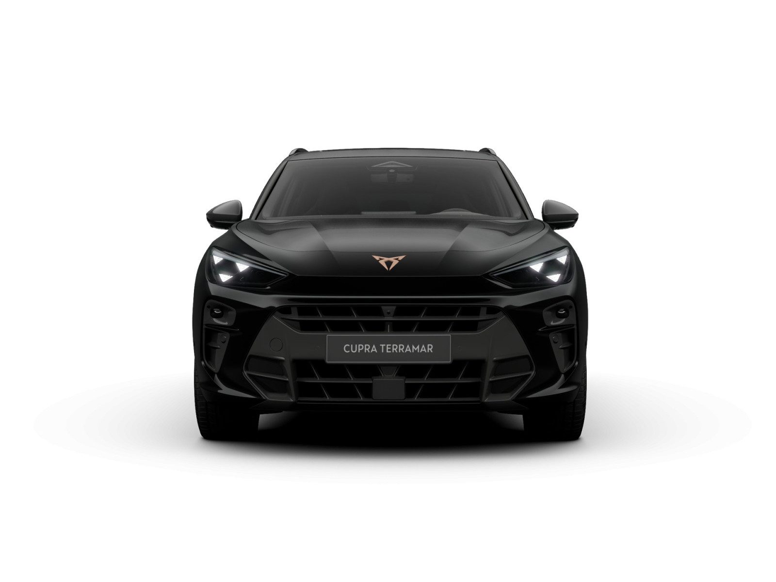 Cupra Terramar – Foto 3