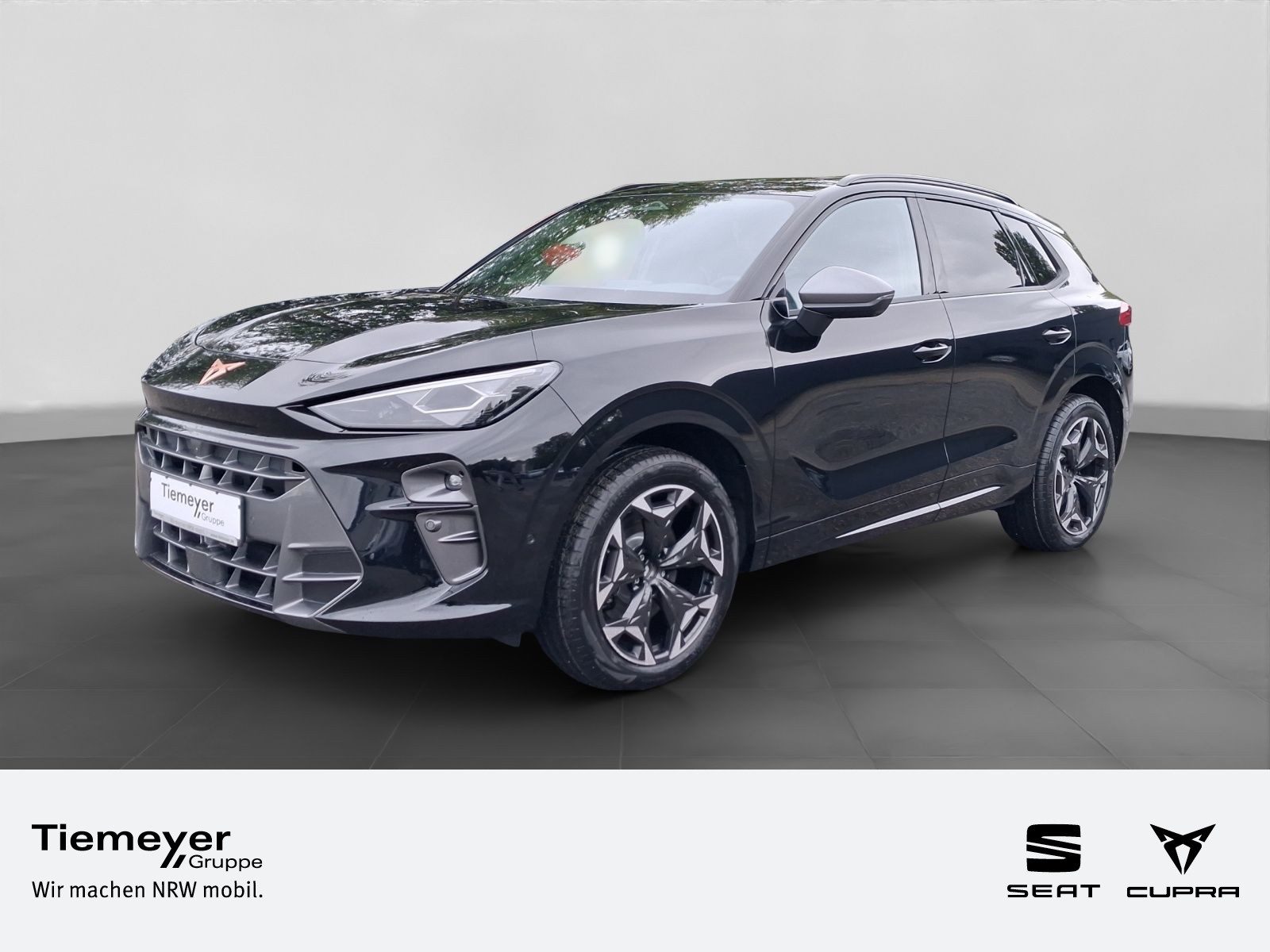 Cupra Terramar – Foto 1