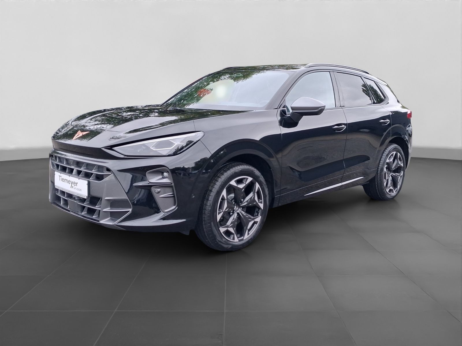 Cupra Terramar – Foto 2